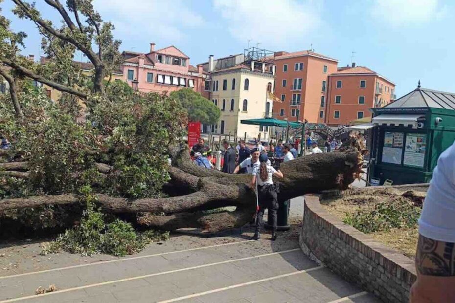 Tragedia w Wenecji