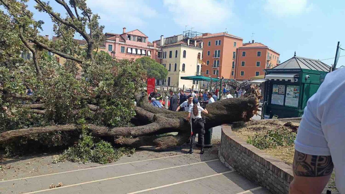 Tragedia w Wenecji