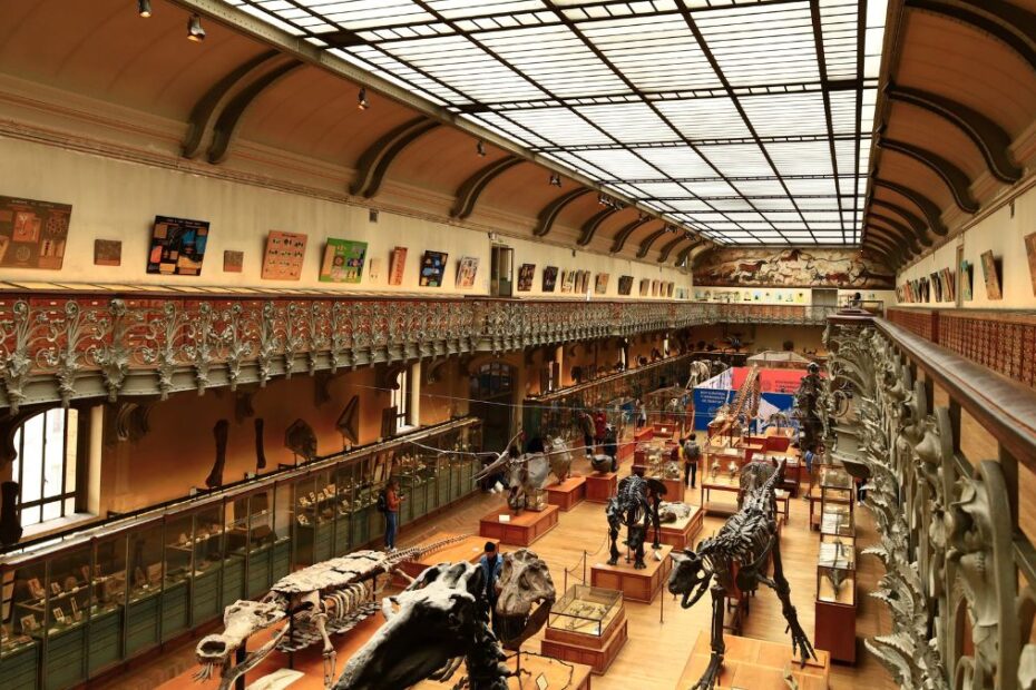 Kradzież złota z muzeum w Paryżu. Policja zatrzymała kobietę