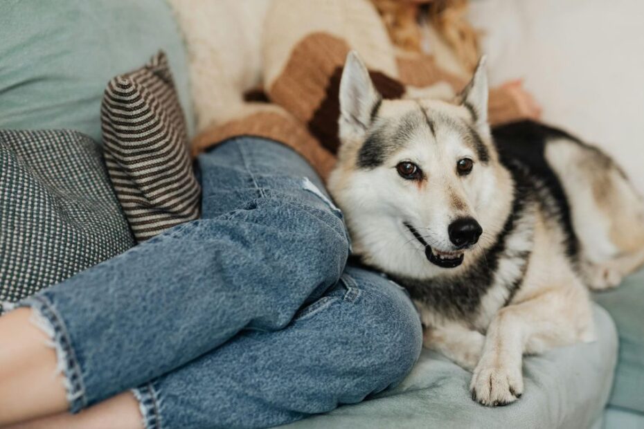 Psy opóźniają starzenie u kobiet Foto: kobieta z psem
